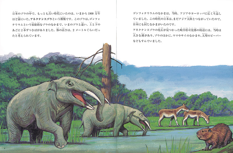 日本にいたゾウ (たくさんのふしぎ 2024年12月号)