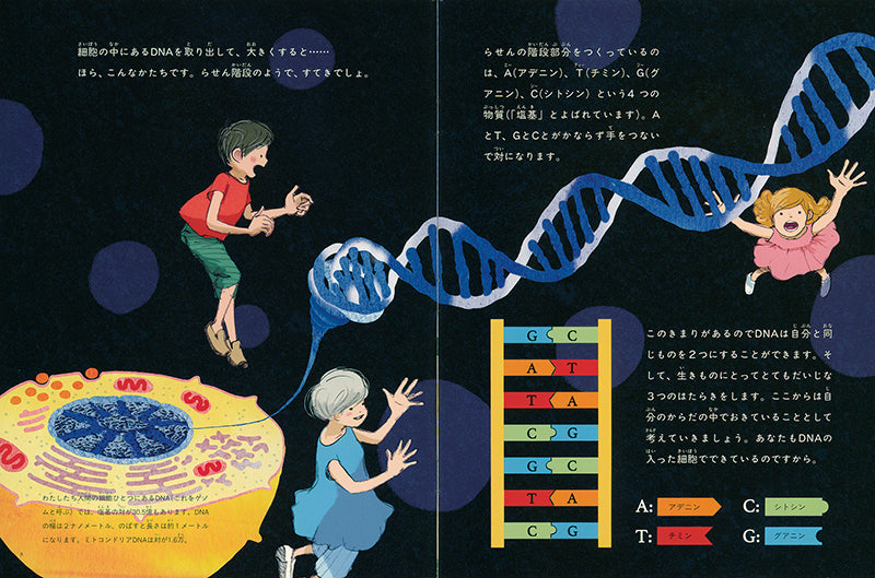 あなたの中のふしぎ DNA (たくさんのふしぎ 2025年4月号)
