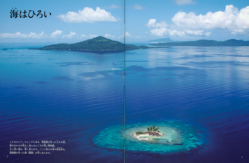 海は (たくさんのふしぎ 2025年6月号)