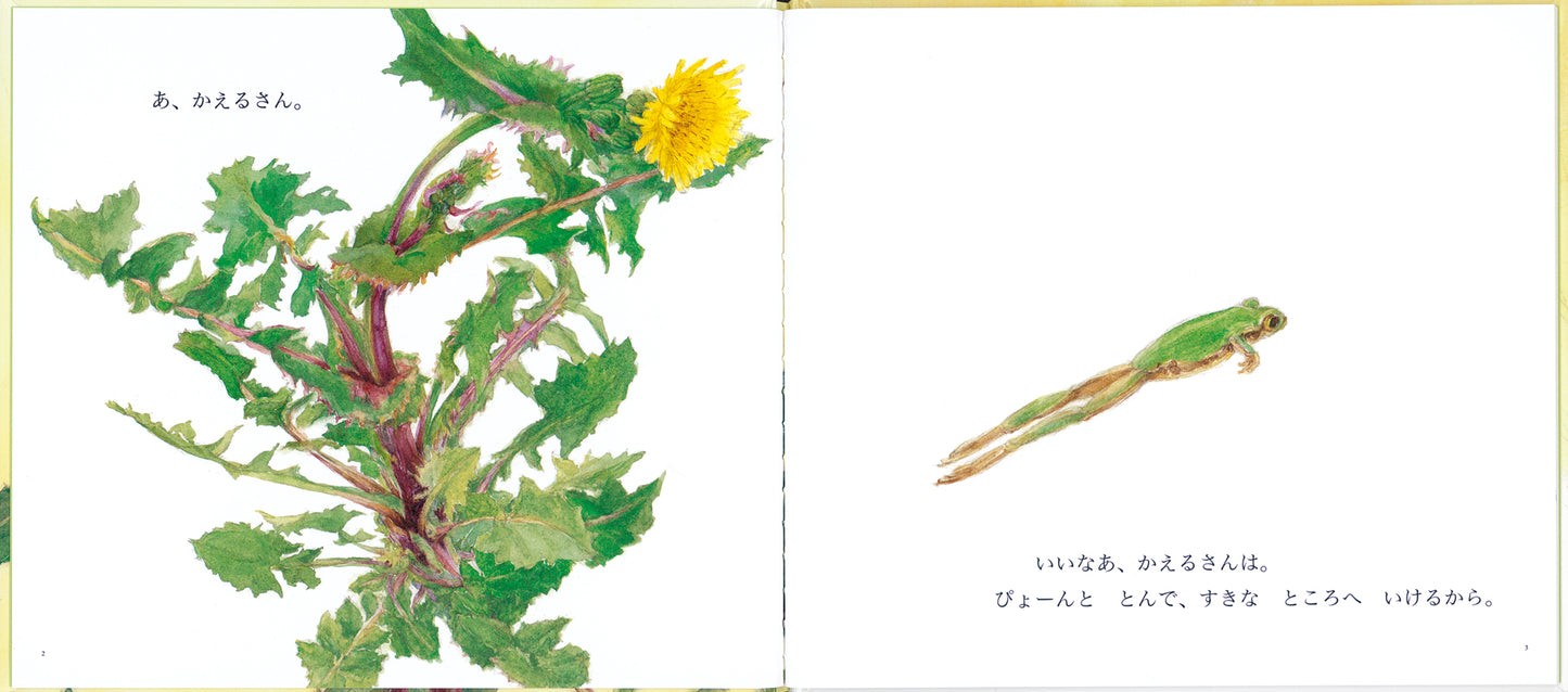 のげしと おひさま