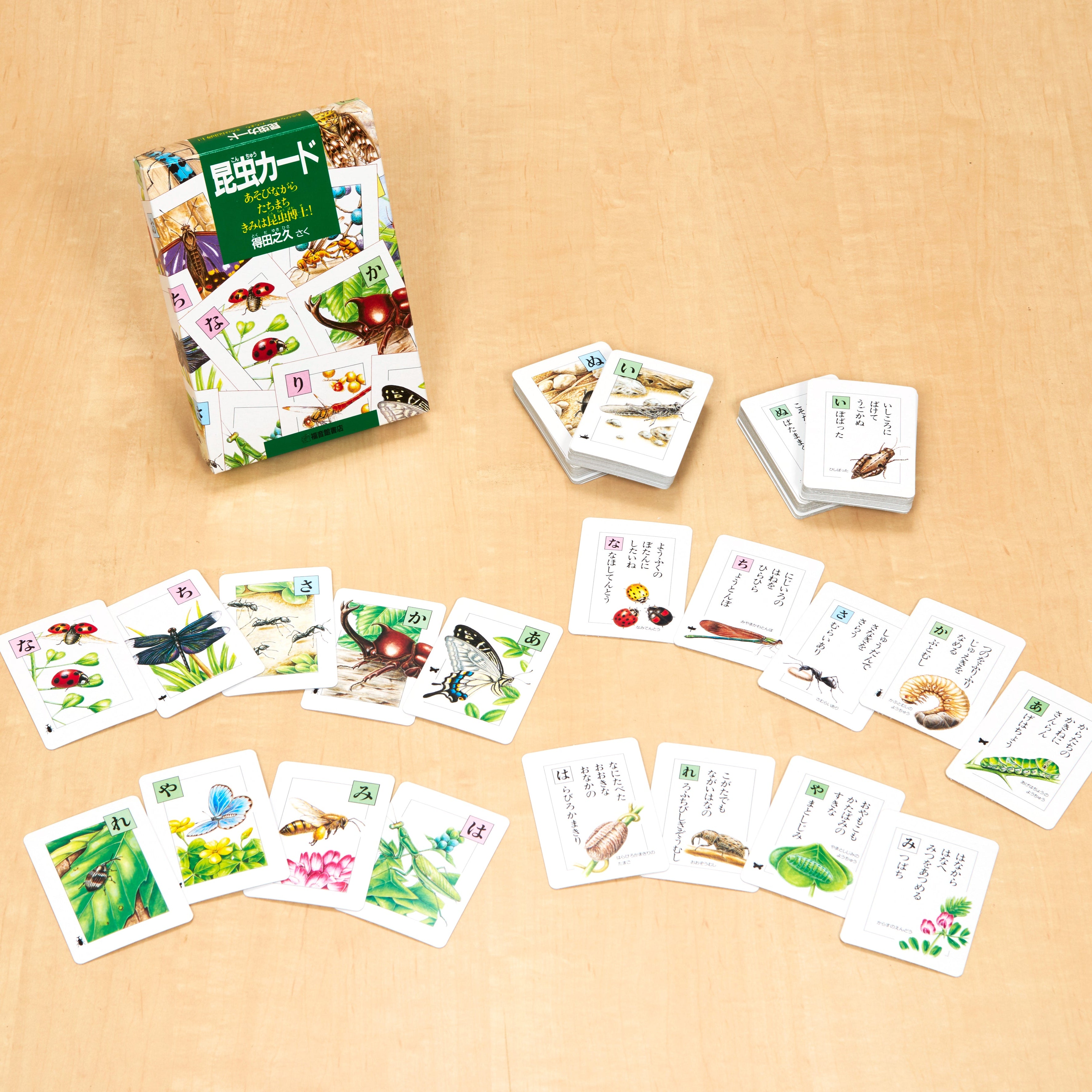 ph1685re.jpg?v=1757149811