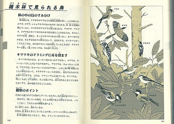 自然図鑑