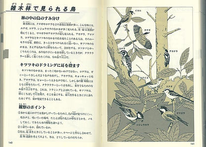 自然図鑑