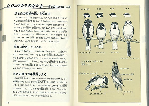 自然図鑑 – 福音館書店 オンラインストア
