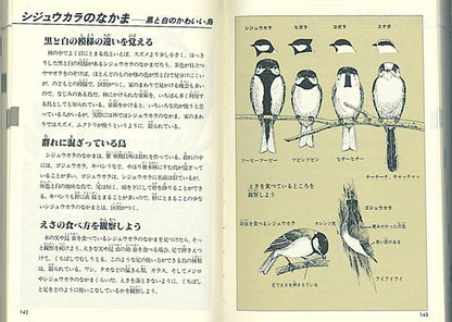 自然図鑑
