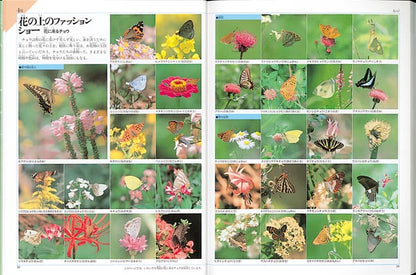 今森光彦 昆虫記