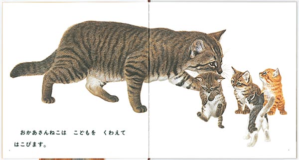 どうぶつのおかあさん