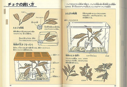 自由研究図鑑
