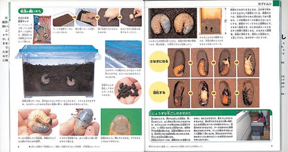 虫の飼いかたさがしかた