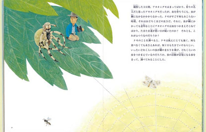 まちぼうけの生態学