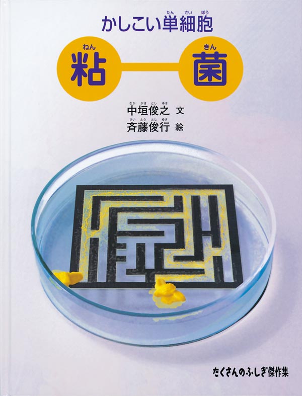 かしこい単細胞 粘菌