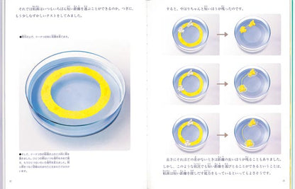 かしこい単細胞 粘菌