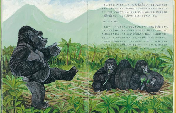 ゴリラが胸をたたくわけ