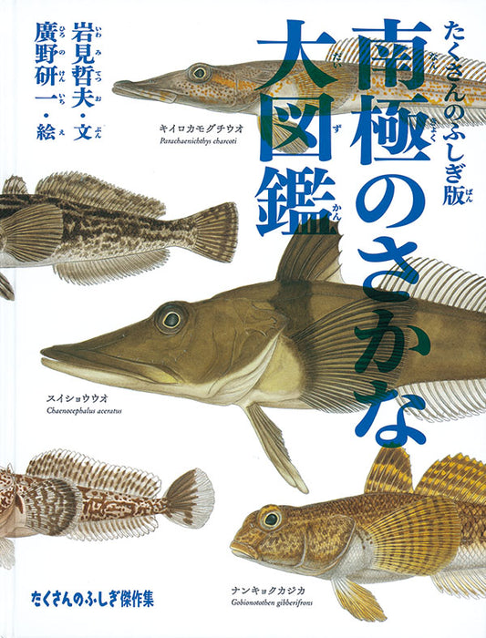 南極のさかな大図鑑