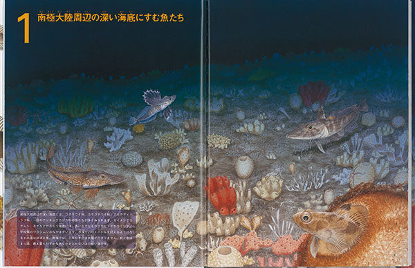 南極のさかな大図鑑