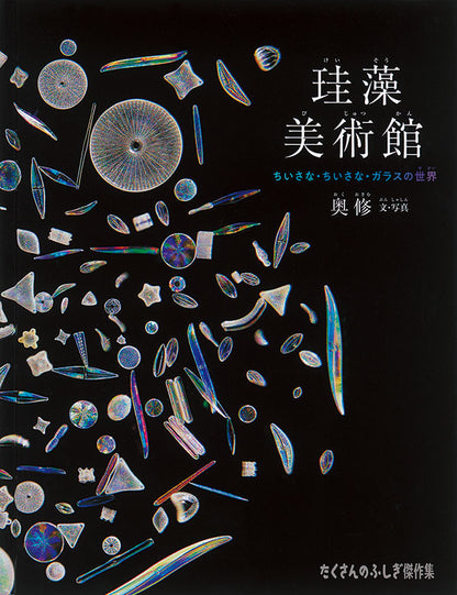 珪藻美術館
