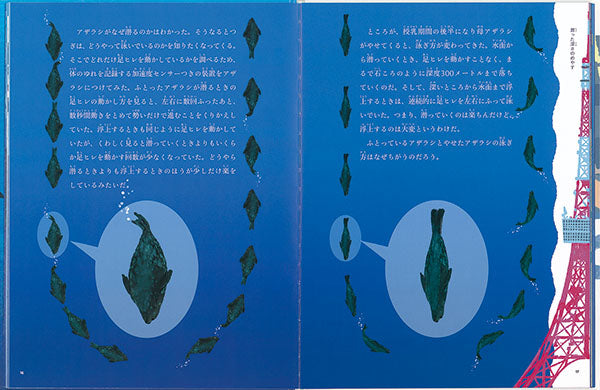 海の中のくらし