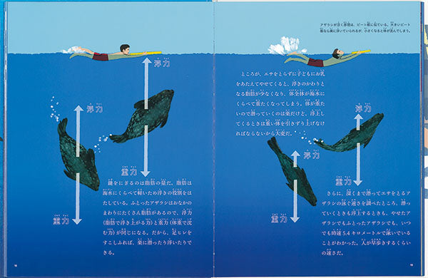 海の中のくらし