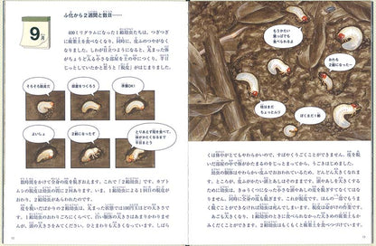 カブトムシの音がきこえる
