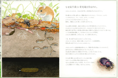 うんこ虫を追え
