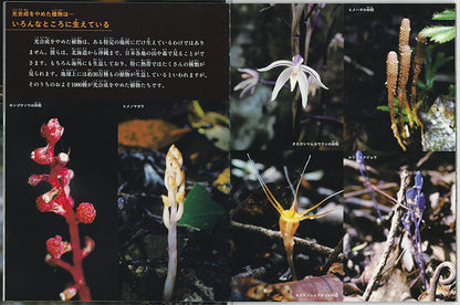 「植物」をやめた植物たち