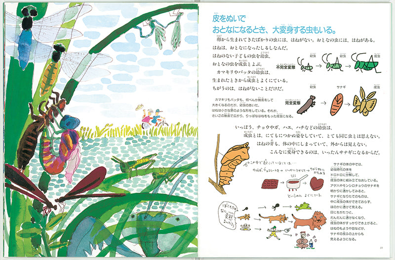 虫の生きかたガイド