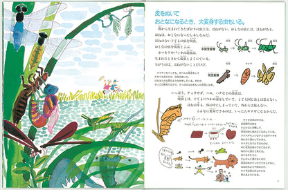 虫の生きかたガイド