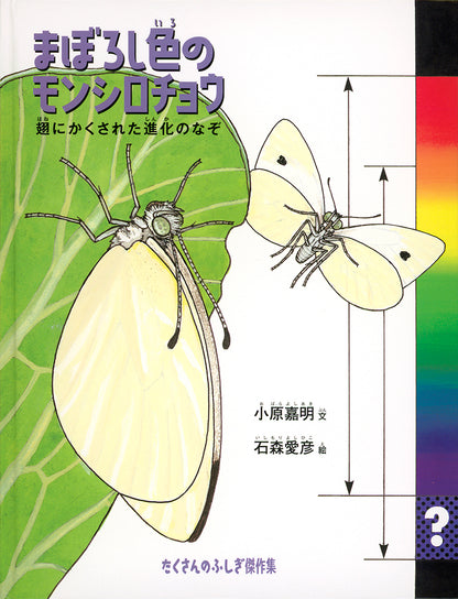 まぼろし色のモンシロチョウ