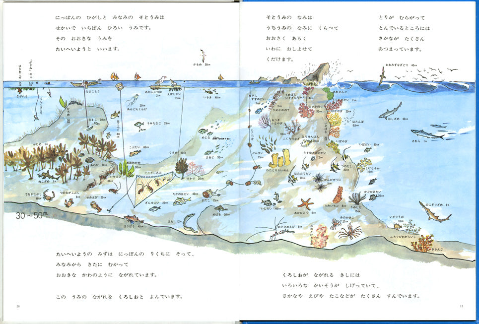 4628_海