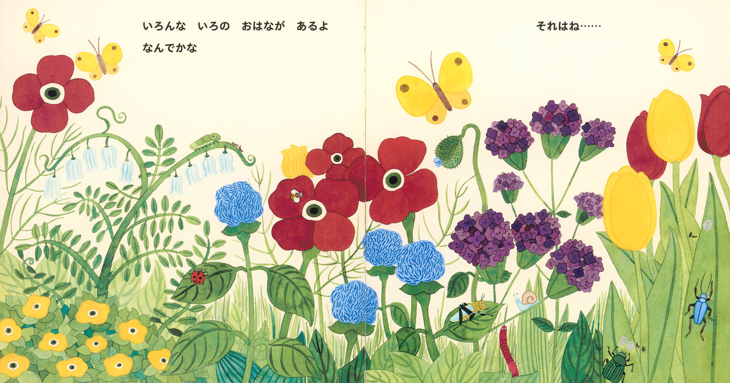 【2～4才向け】屋外をもっと楽しめる！お話とかがく絵本セット【5冊】