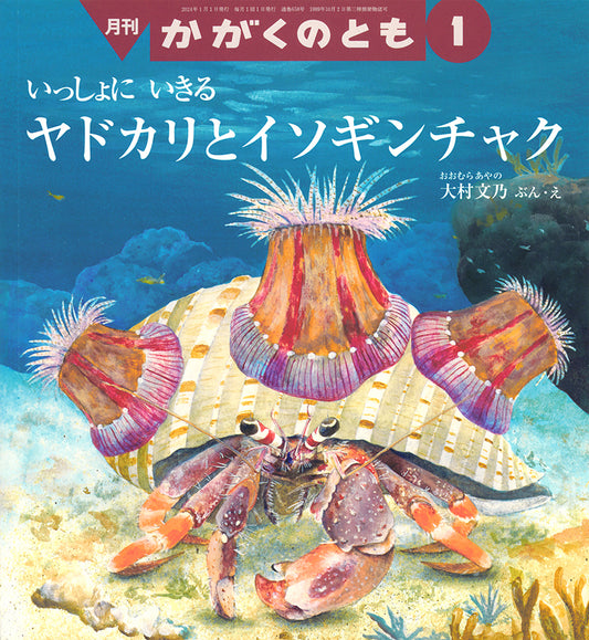 ヤドカリとイソギンチャク