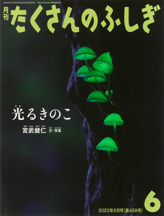 光るきのこ (たくさんのふしぎ 2023年6月号)