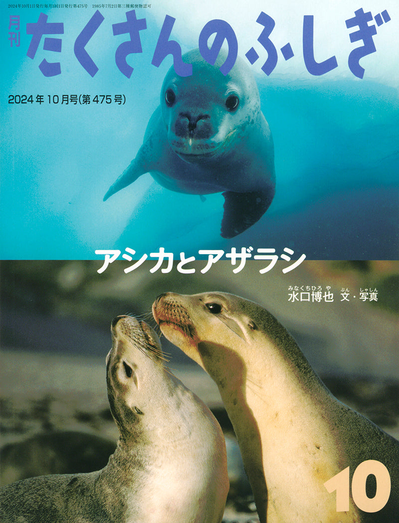 たくさんのふしぎ2000年版11冊セット たくさんのふしぎ」バックナンバー特集 – 福音館書店 オンライン