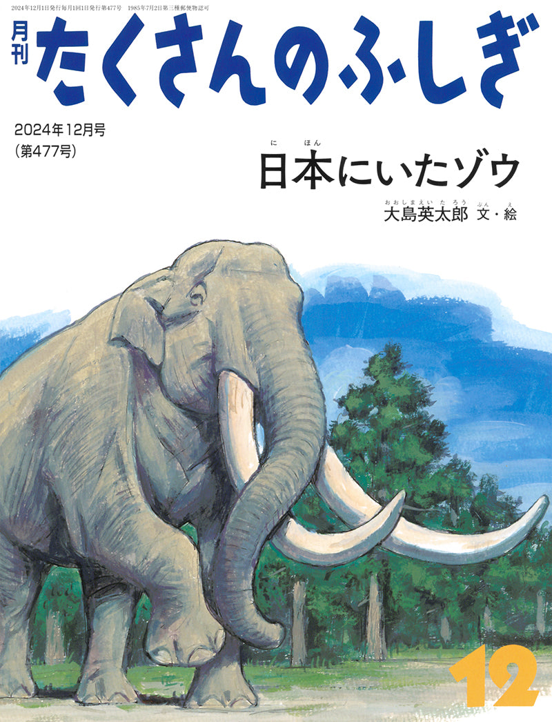 たくさんのふしぎ 1991年 12冊〔1月-12月〕 月刊たくさんのふしぎ142号（1997年1月）－その先