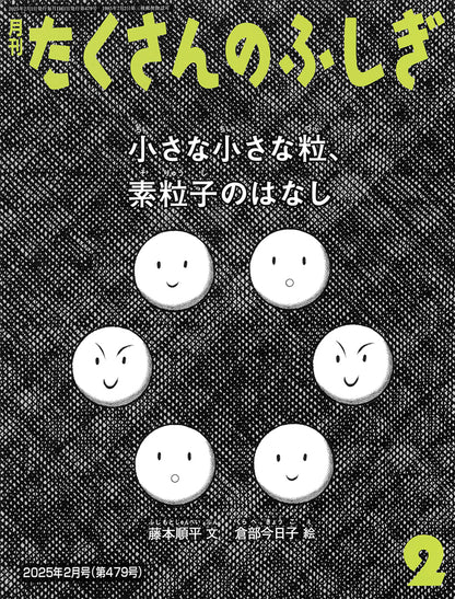 小さな小さな粒、素粒子のはなし (たくさんのふしぎ 2025年2月号)