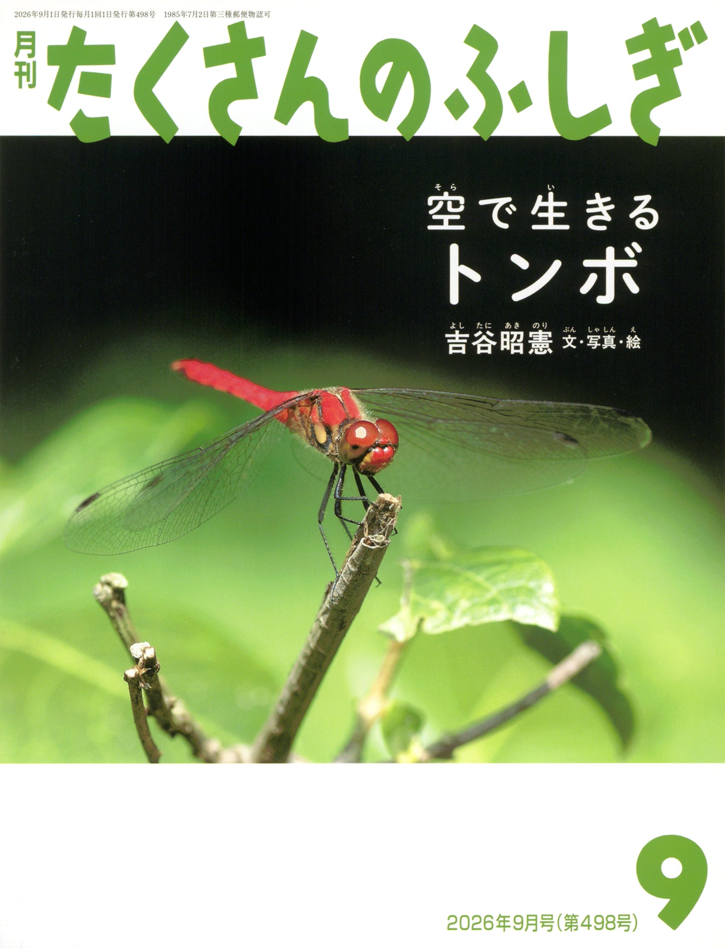 空で生きる　トンボ (たくさんのふしぎ 2026年9月号)