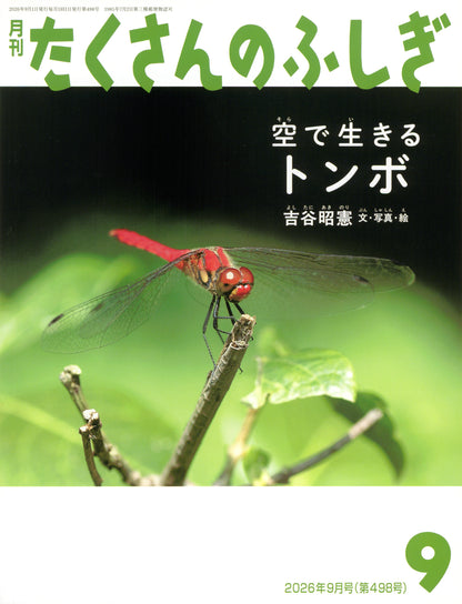 空で生きる　トンボ (たくさんのふしぎ 2026年9月号)