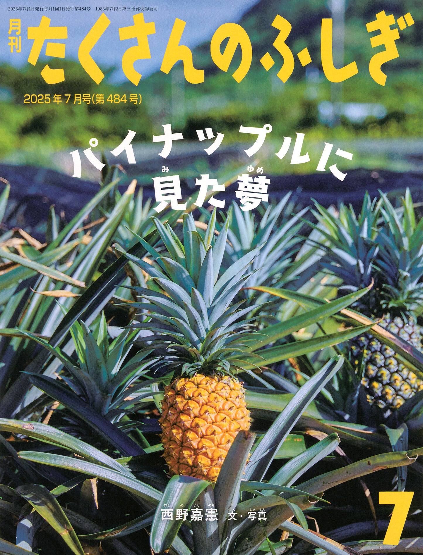 パイナップルに見た夢 (たくさんのふしぎ 2025年7月号)