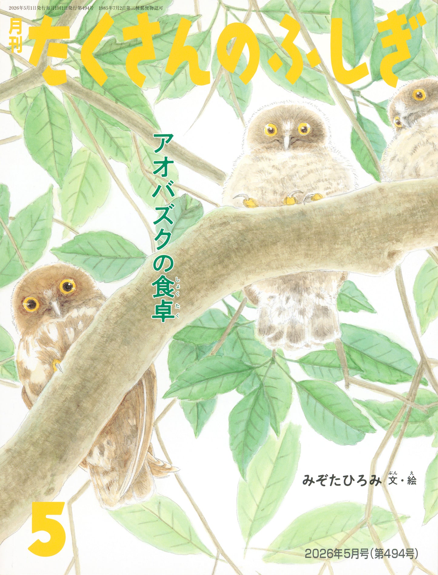 アオバズクの食卓 (たくさんのふしぎ 2026年5月号)
