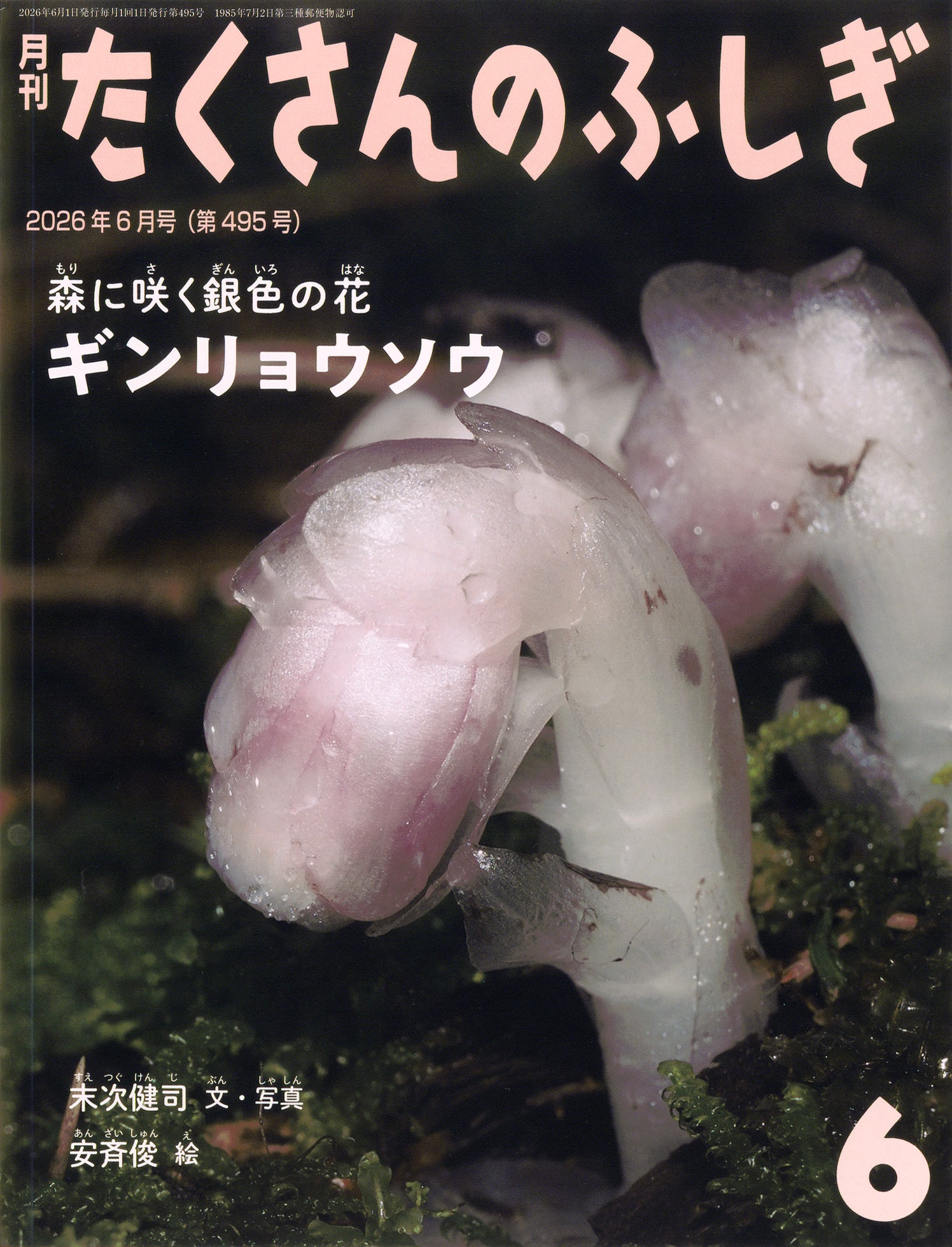 知らないことがいっぱい！「たくさんのふしぎ」バックナンバー特集