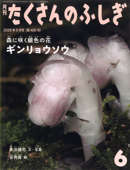 ギンリョウソウ (たくさんのふしぎ 2026年6月号)