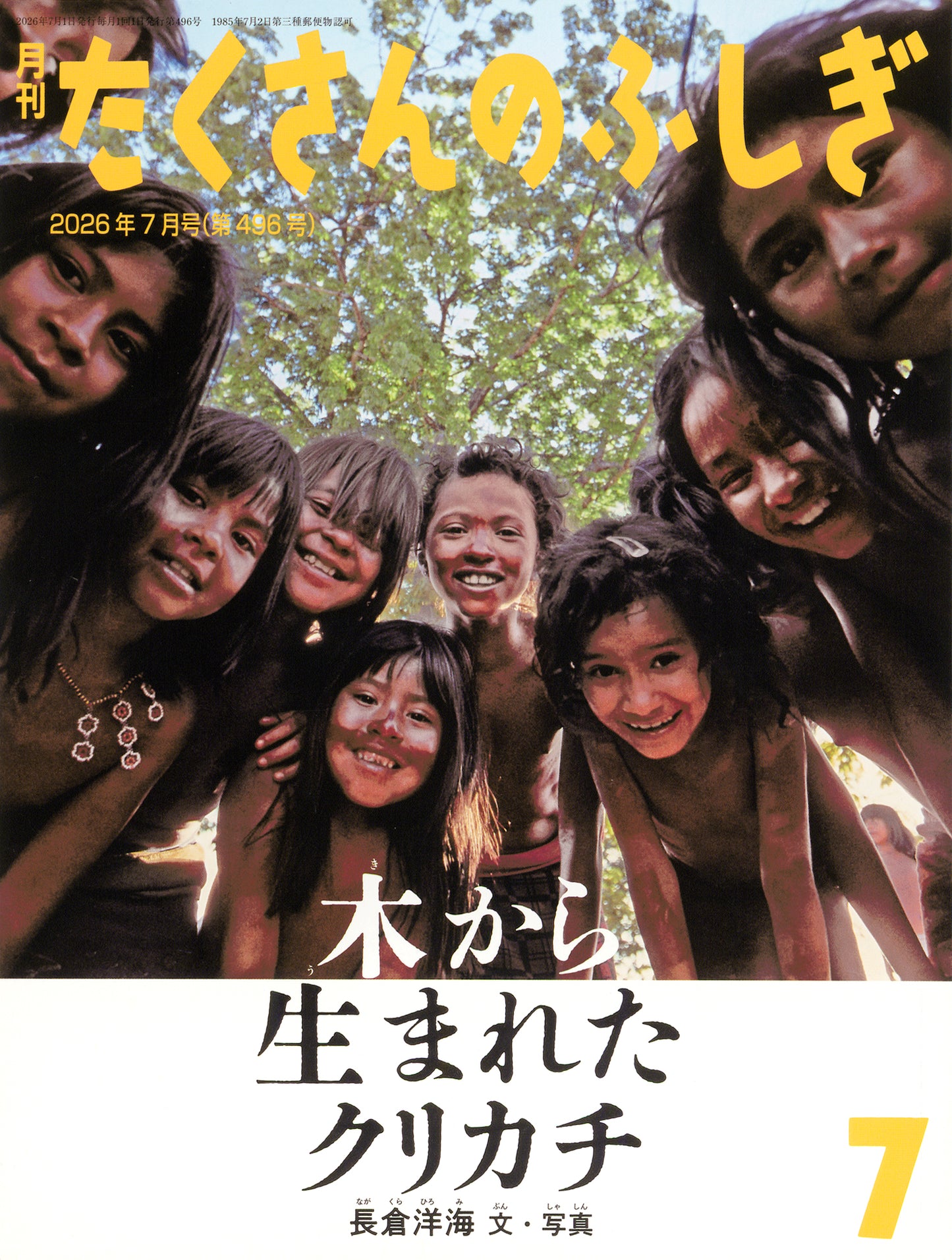 木から生まれたクリカチ (たくさんのふしぎ 2026年7月号)