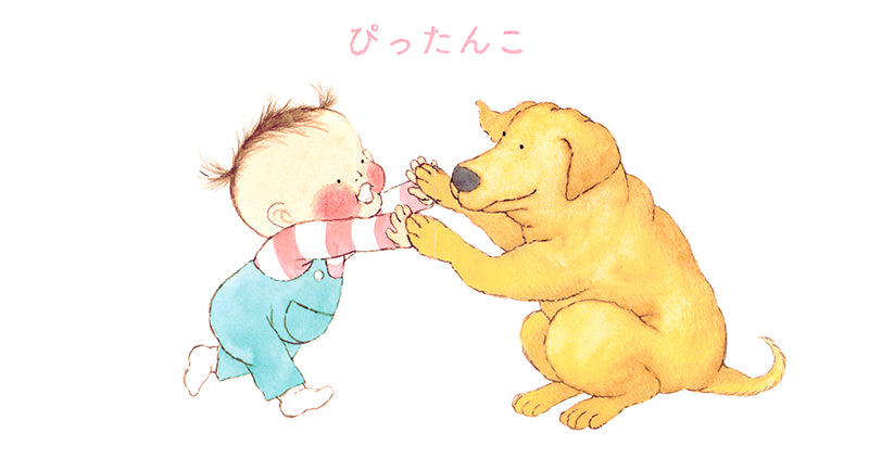 ぴったんこ