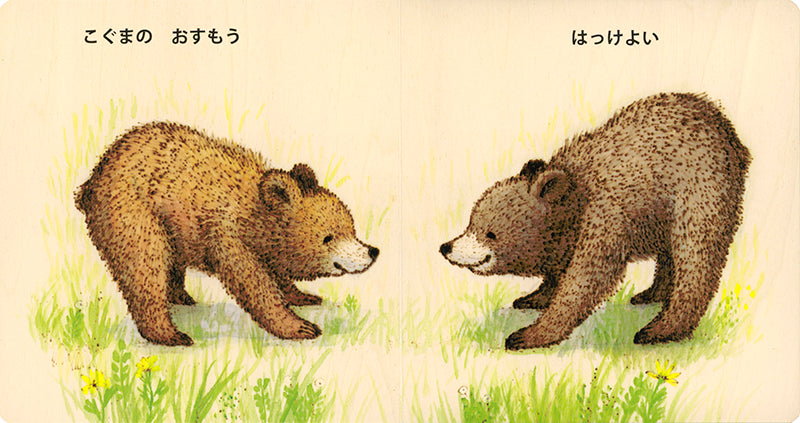 こぐまの おすもう