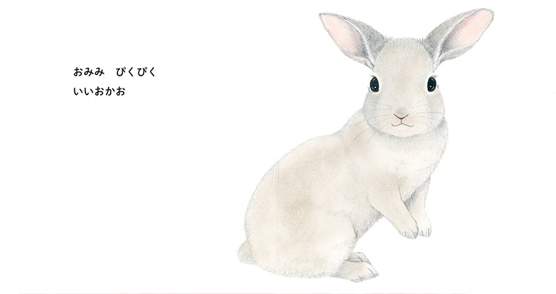 【0～2才向け】あかちゃん どうぶつ大好きセット【５冊】