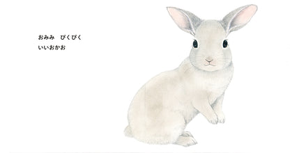 【0～2才向け】あかちゃん どうぶつ大好きセット【５冊】
