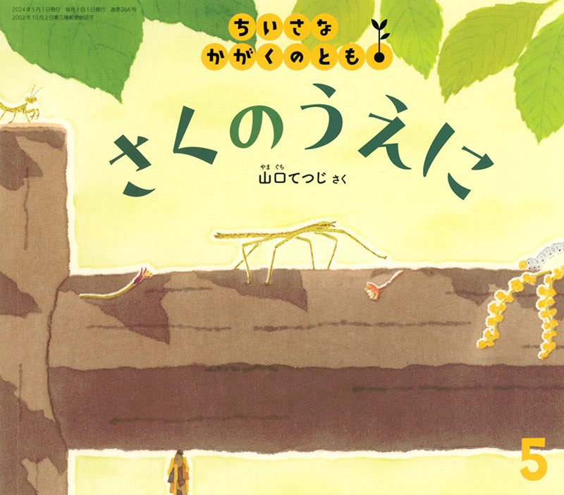 【2～4才向け】屋外をもっと楽しめる！お話とかがく絵本セット【5冊】