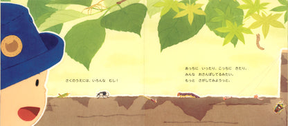 【2～4才向け】屋外をもっと楽しめる！お話とかがく絵本セット【5冊】