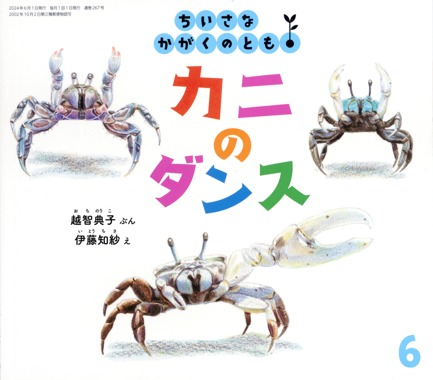 【2～4才向け】夏を満喫できる お話とかがく  5冊セット