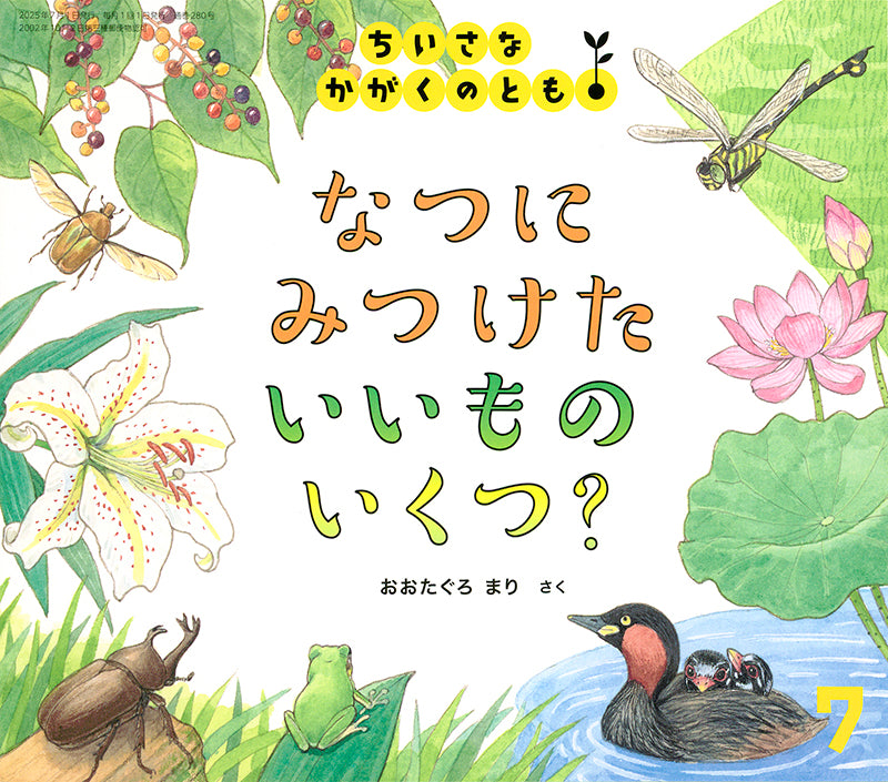 【2～4才向け】夏を満喫できる お話とかがく  5冊セット